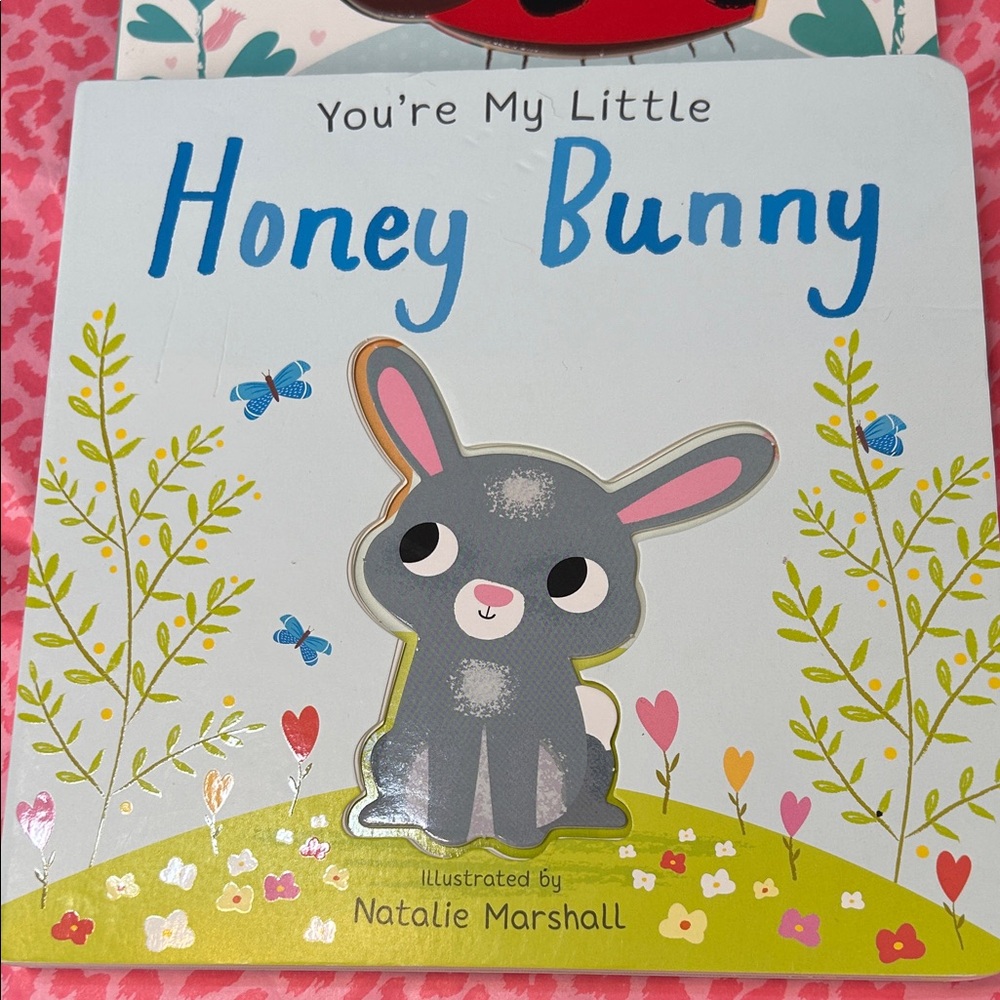 You're My Little Board Book Set - Cuddle Bug & Honey Bunny - Picture 2 of 5